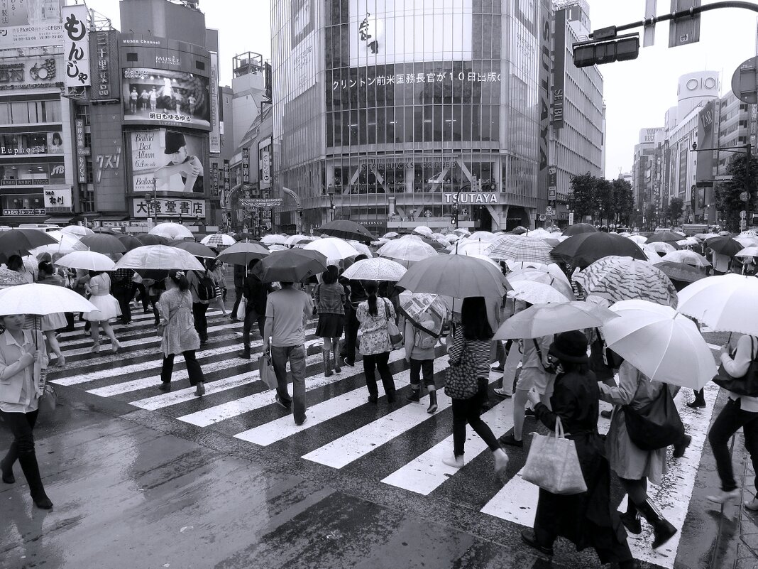 Перекресток Сибуя Shibuya Crossing Токио Япония - wea *