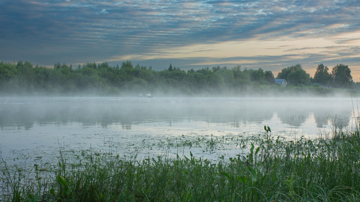 June morning near the Sukhona River | 7 - Sergey Sonvar