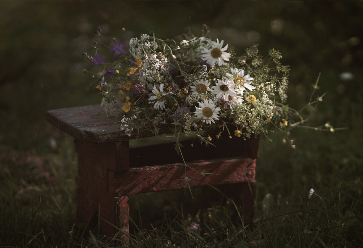 Букет полевых цветов... - Liliya 