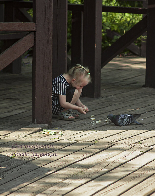Девочка которая кормит голубей - Ринат Засовский