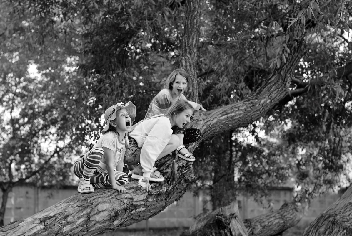 Представители диких кошачьих рычат на дереве. Игры детей) - Светлана Былинович