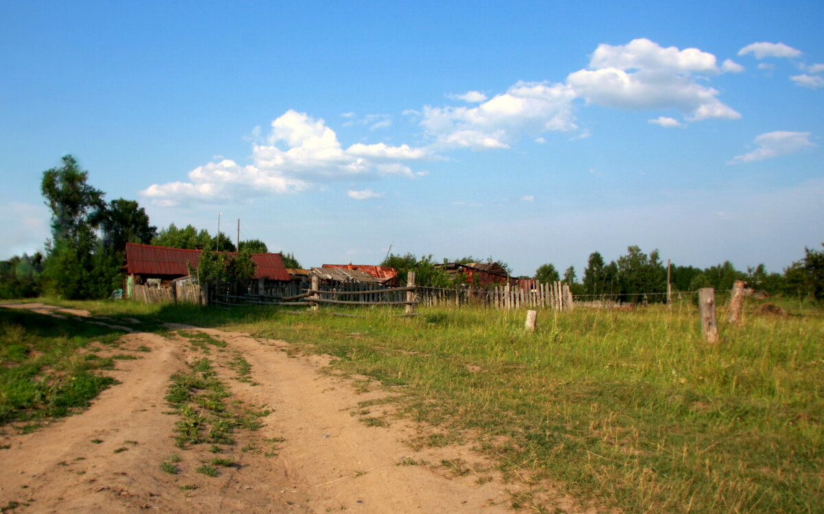 Лето в деревне - Нэля Лысенко