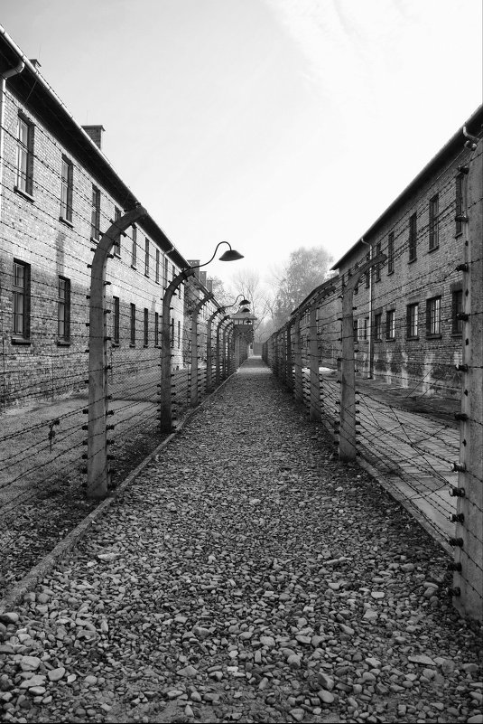 Arbeit macht frei - Ольга Прядкина