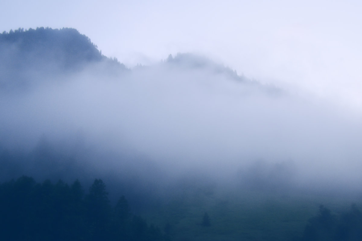 Туман в горах Абхазии - Venera Shafigullina