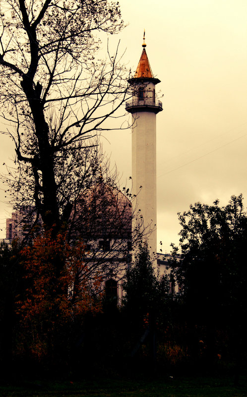 Мечеть - Анна 