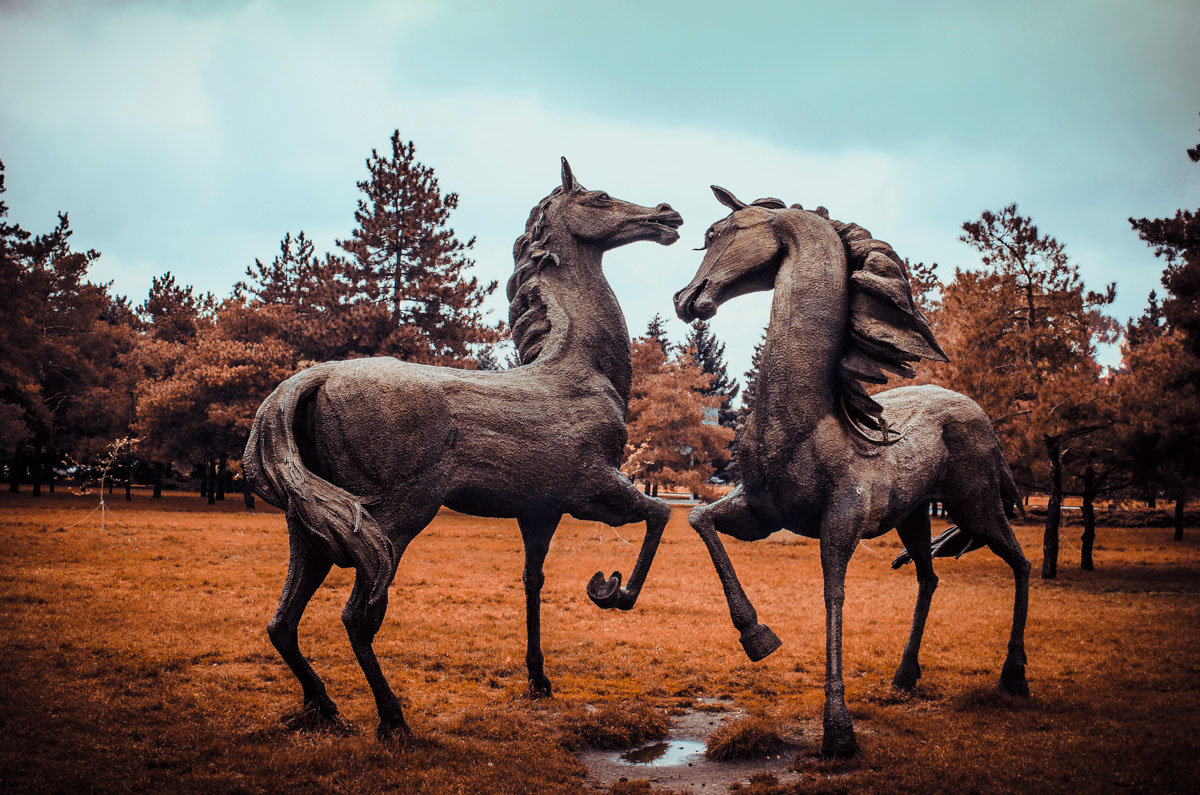 Железные кони - Владимир Манин