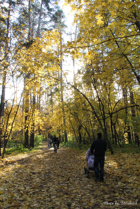 Осенняя прогулка по лесу - Елизавета Ваганова