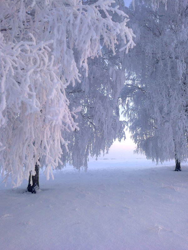 зима - Анастасия Филиппова