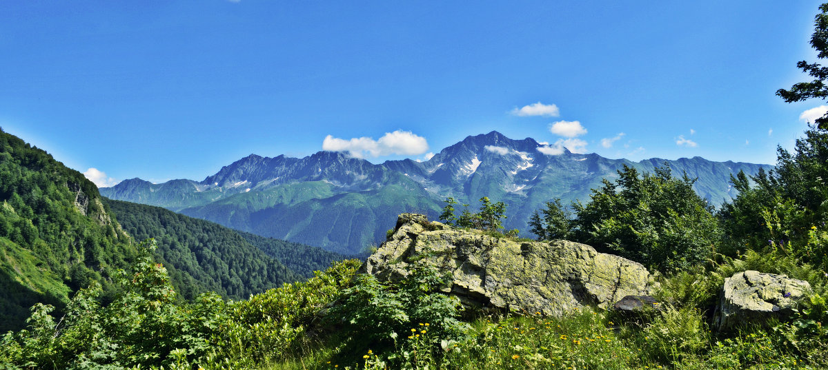 alpine pastures - Наталья Лев