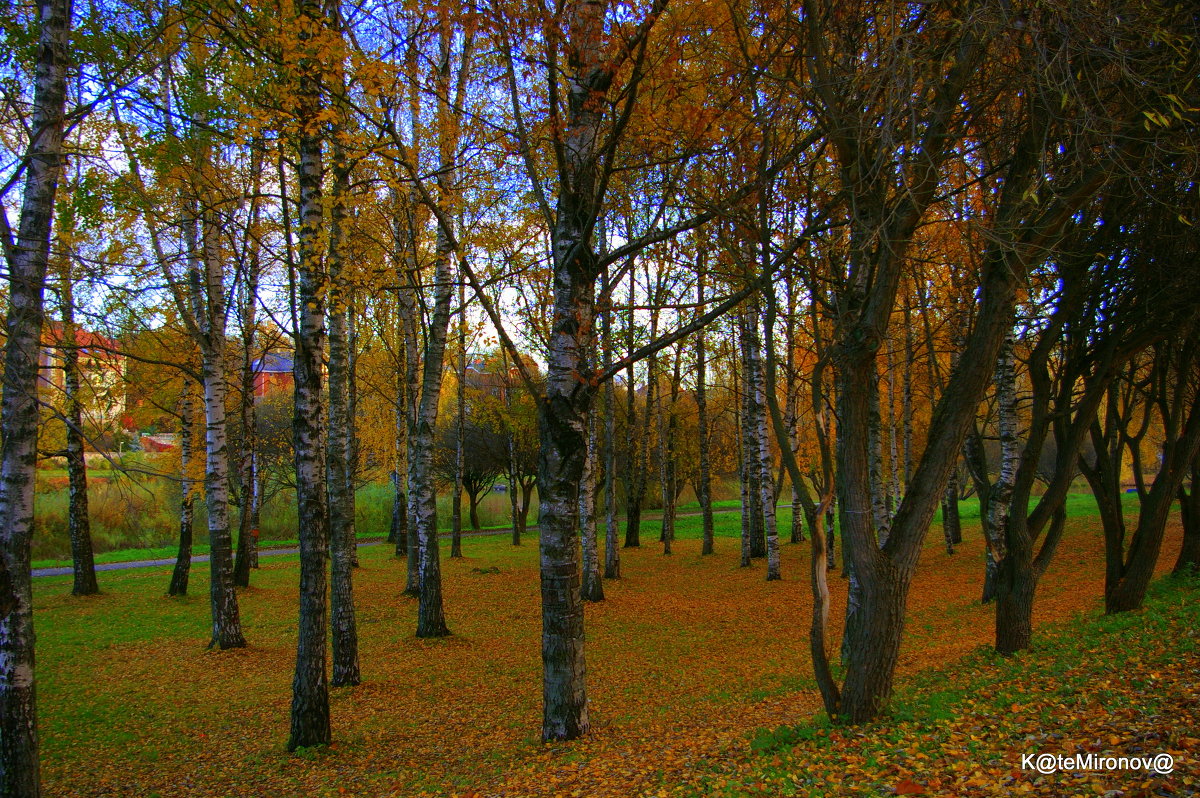 Осенний парк - Екатерина Миронова