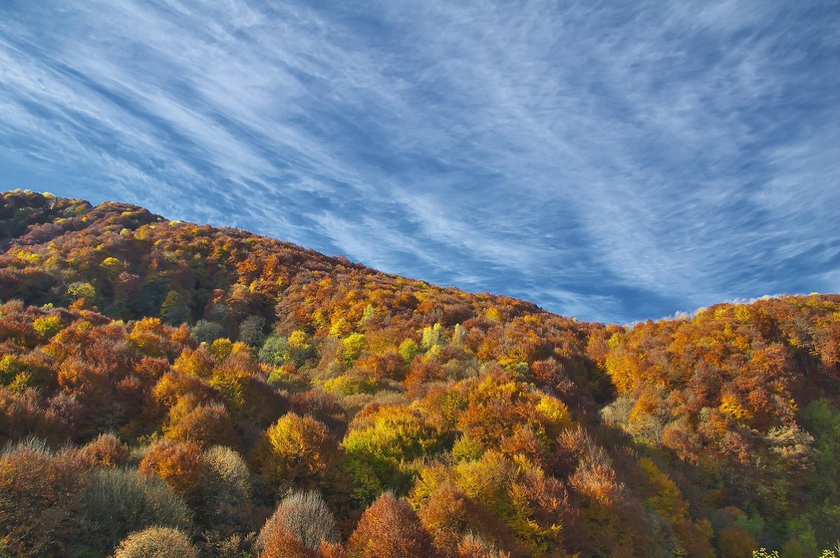 Осень в горах - Владимир Богославцев(ua6hvk)