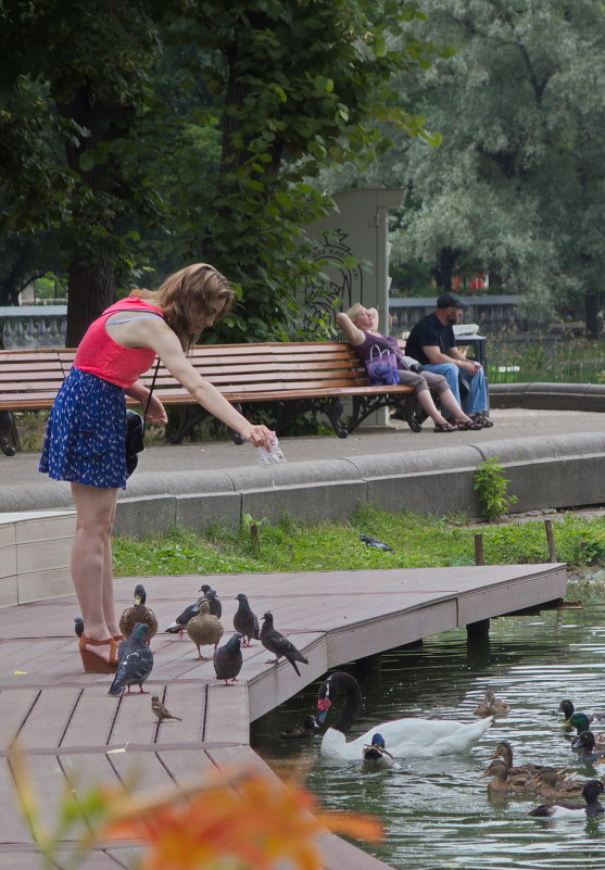 Девушка кормит птиц в парке Горького - Евгений Поляков