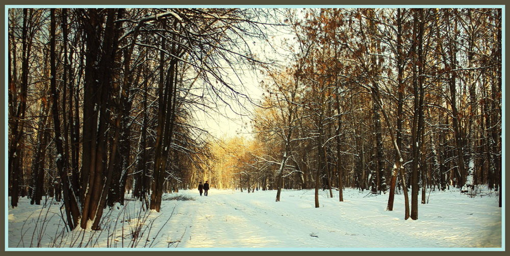 В зимнем лесу... - Nonna 