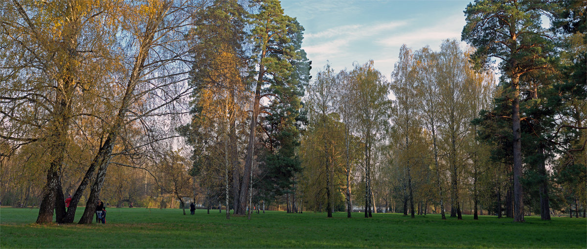 Still Evening in the Park - Roman Ilnytskyi