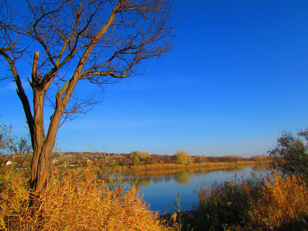осень в реке - Marina Timoveewa