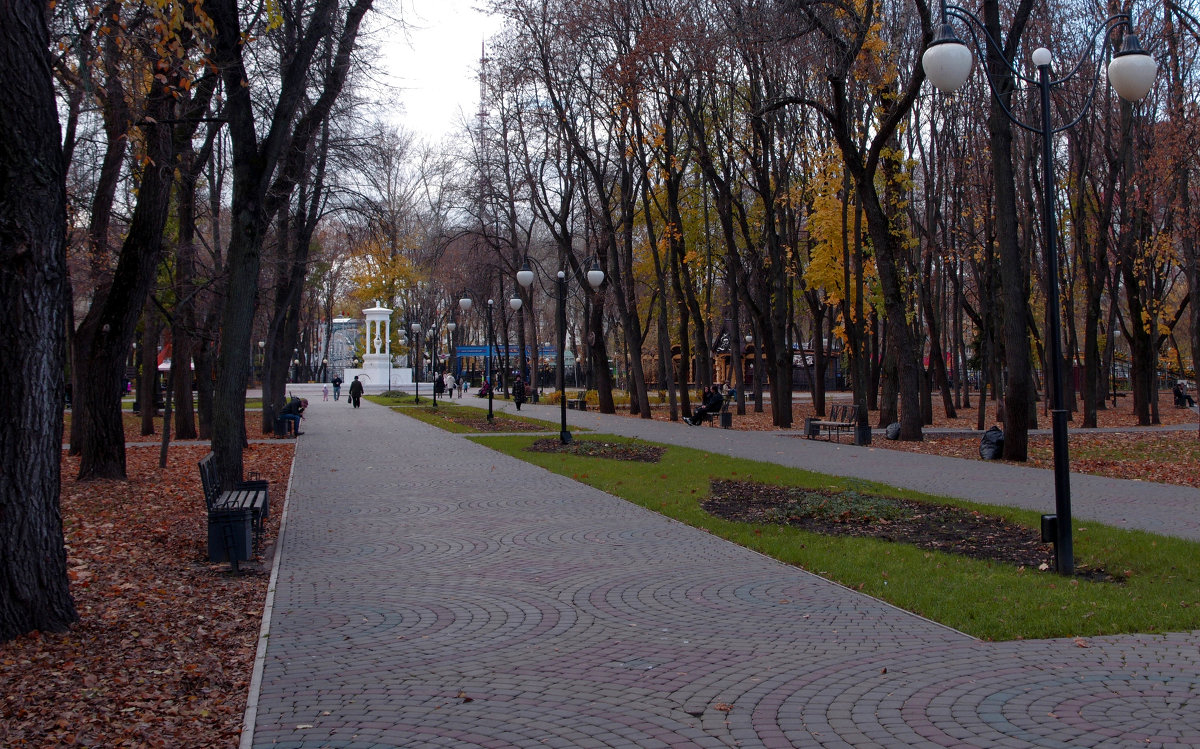 Поздняя осень. - Владимир Нев