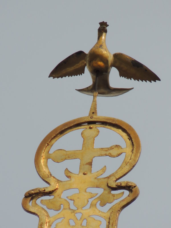 Голубь на кресте Дмитриевского собора - Николай ntv
