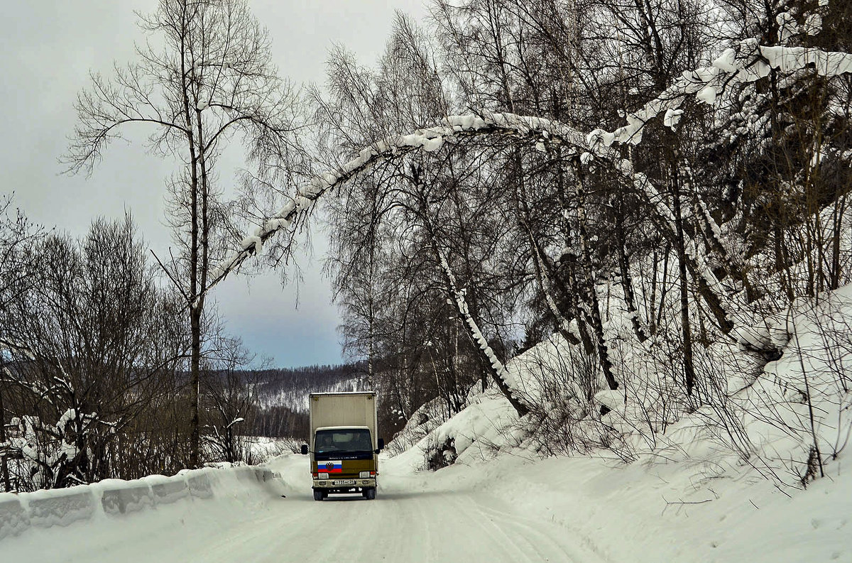 Зимняя дорога - юрий Амосов