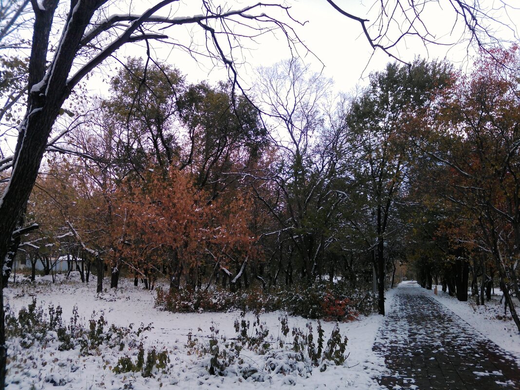 Зелень осени...под снегом... - Андрей Хлопонин