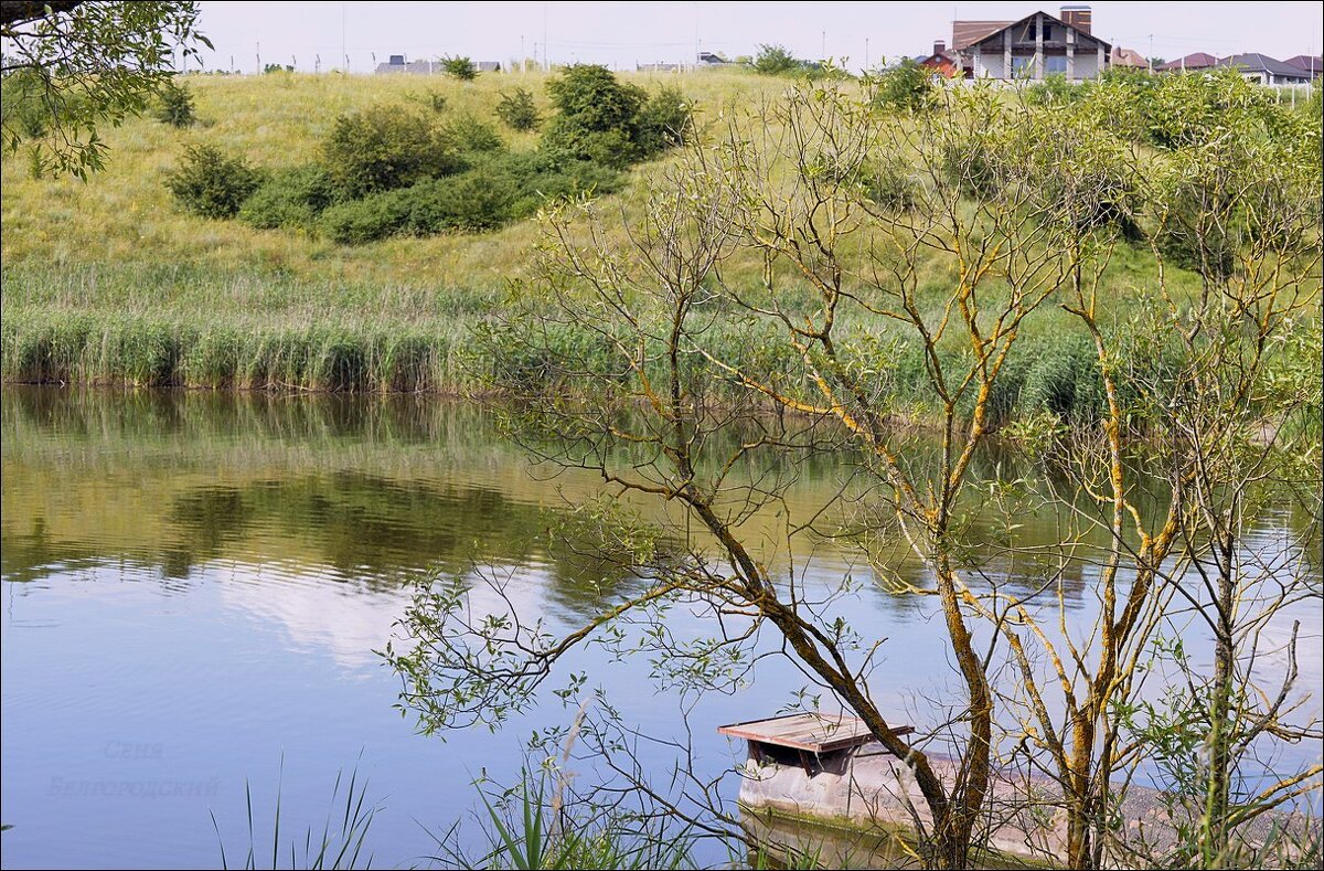 Лето - Сеня Белгородский