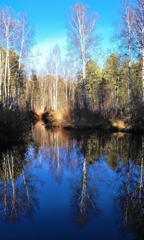 Небо и вода - Сергей Никифоров