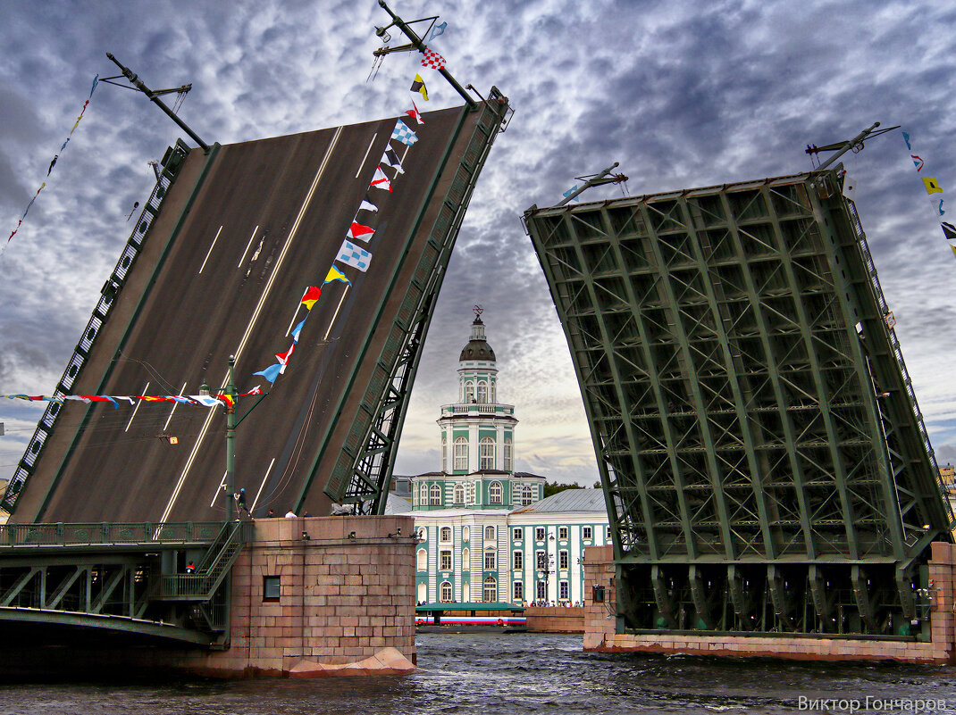 Дворцовый мост,,Нева,Кунсткамера, Санкт Петербург - Laryan1 