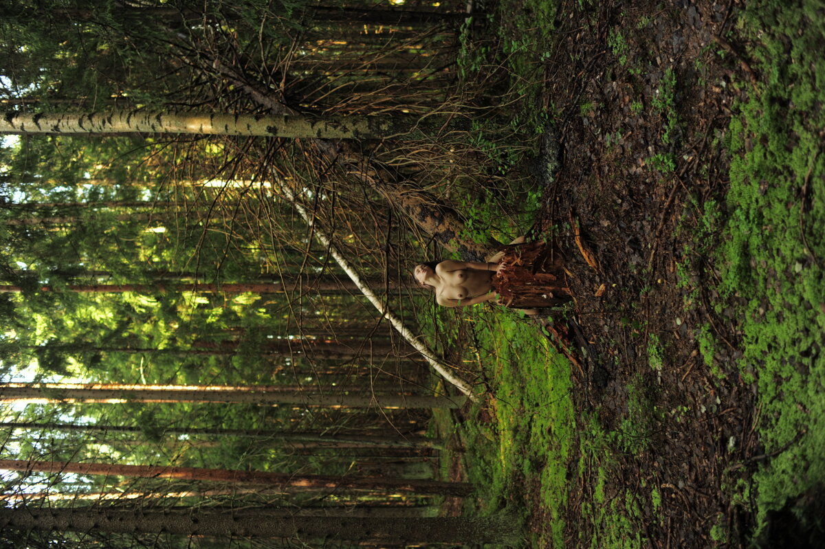 Queen of the forest - Артем Токарев