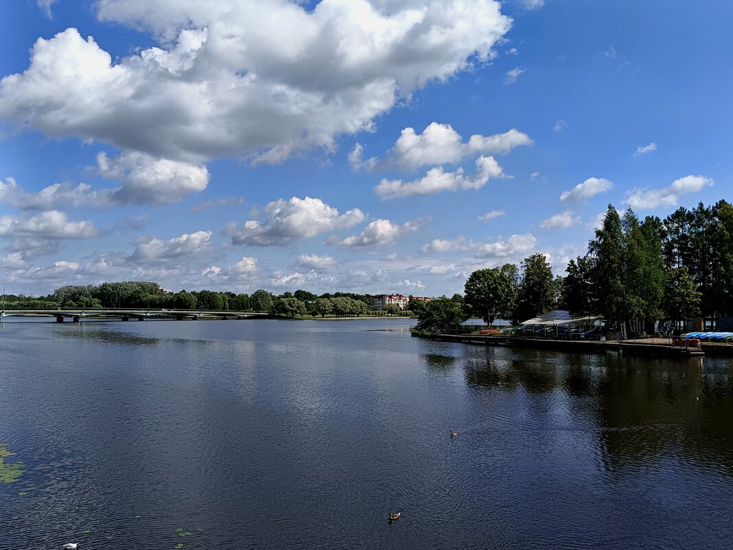 Водная гладь и в небе плывущие облака - Мария Васильева