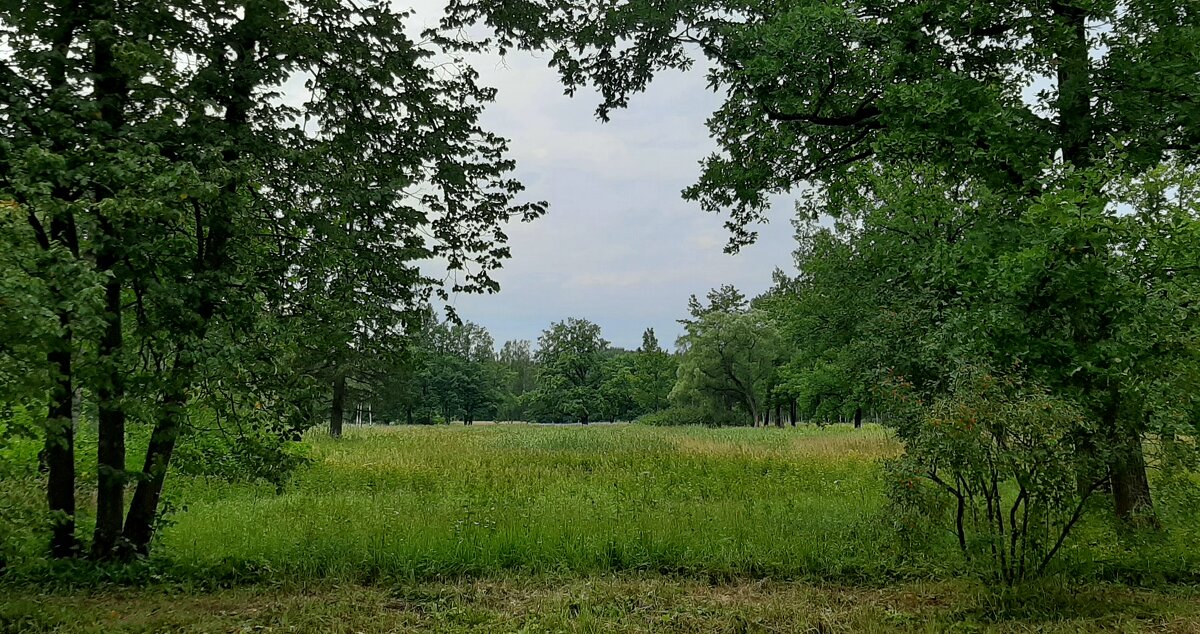 Баболовский парк - Наталья Герасимова