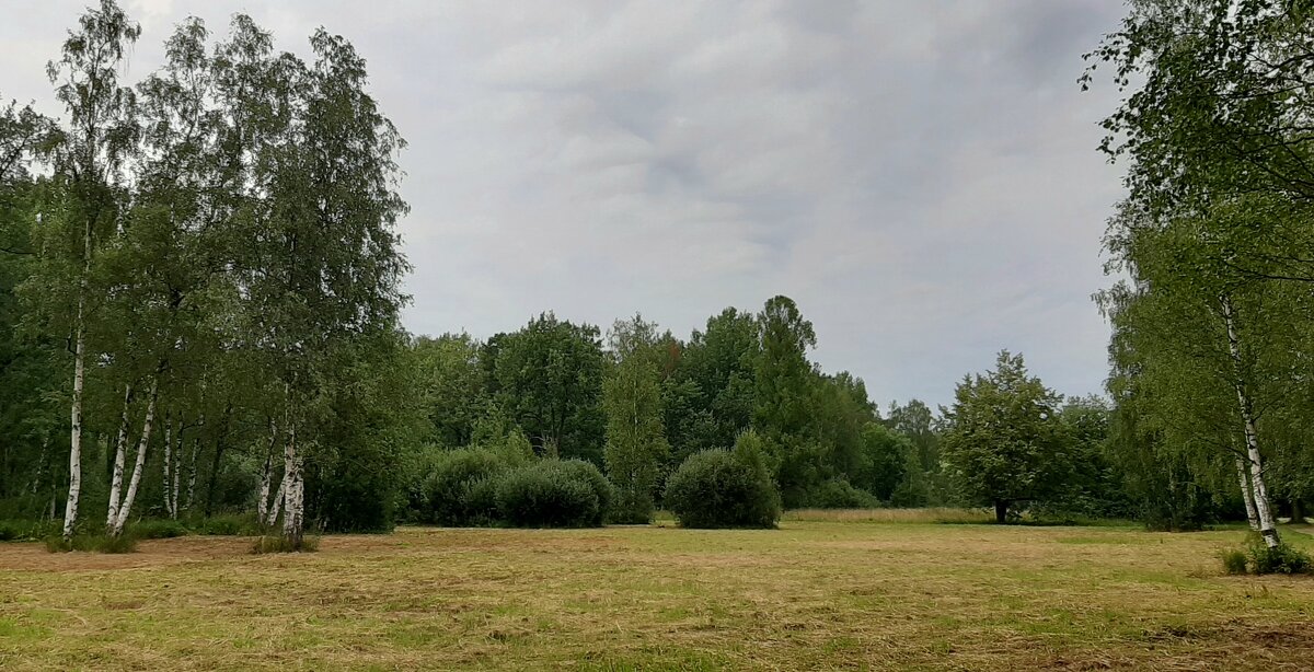 Баболовский парк - Наталья Герасимова