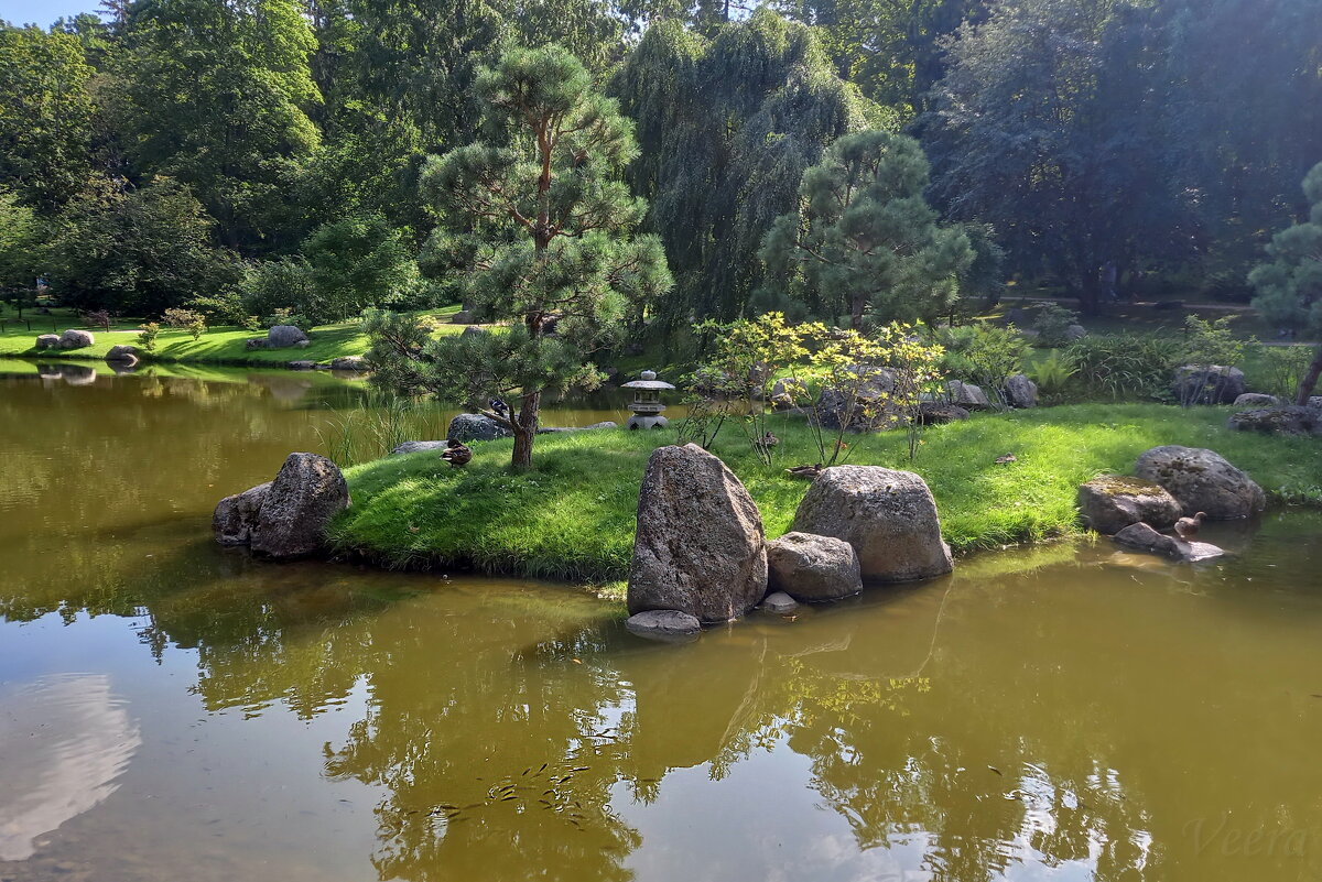 Прогулка в Японском саду - veera v