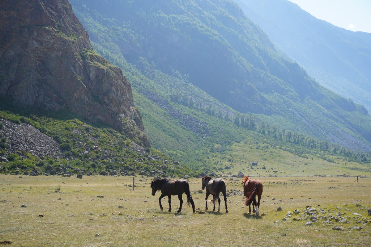 Три подруги, долина реки Чулышман, Алтай - Юлия 