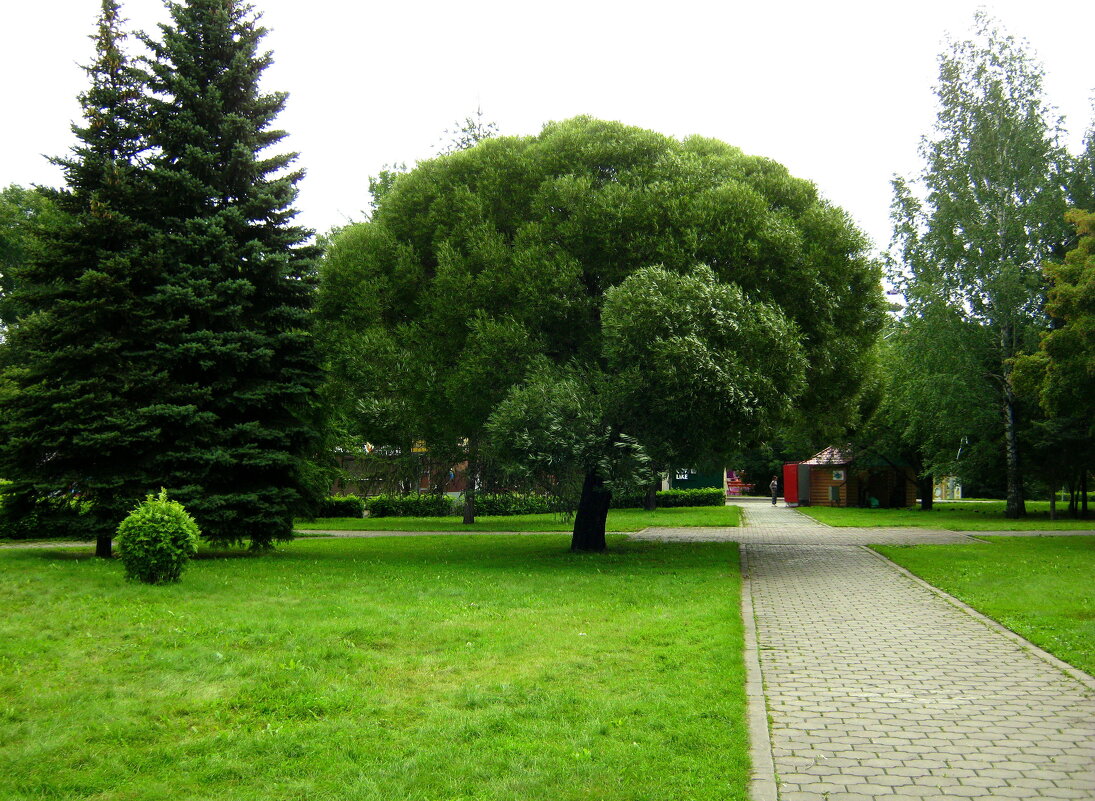 Сад металлургов. - Радмир Арсеньев