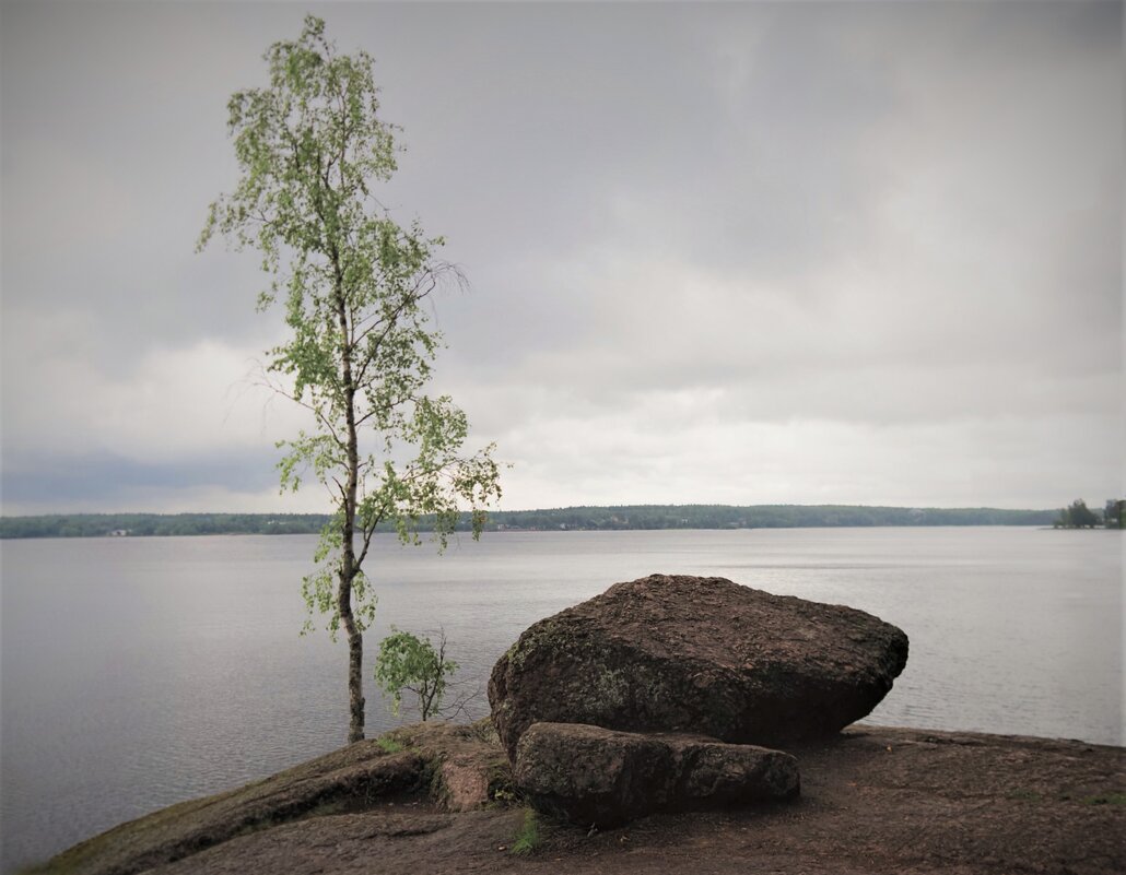 В парке Монрепо - Магомед .