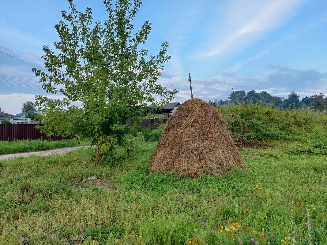 Стог - Денис Бочкарёв