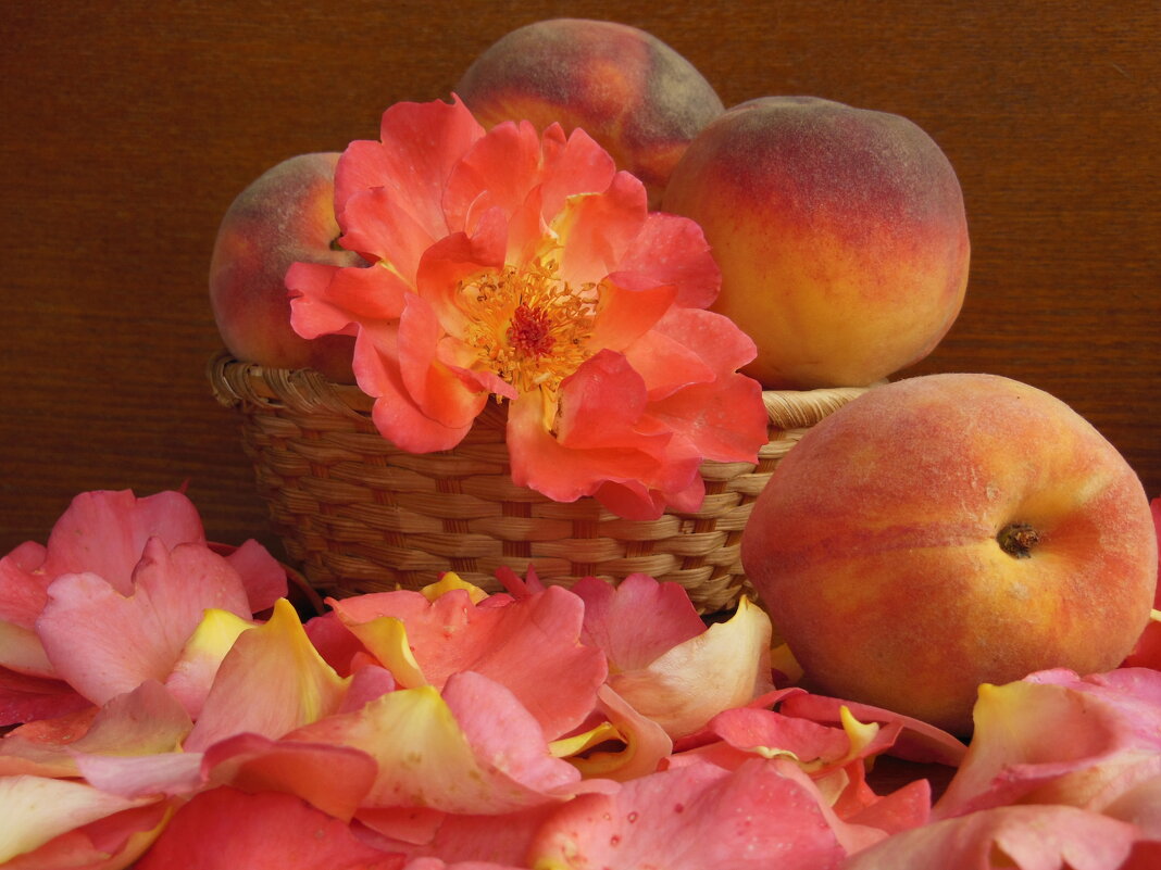 Персик и роза - александр 