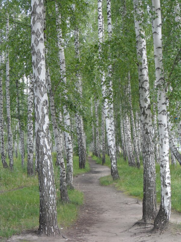 В Воронеже - Елена Шаламова