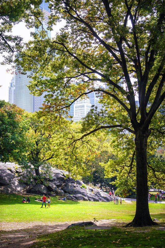 Central Park - Константин Подольский