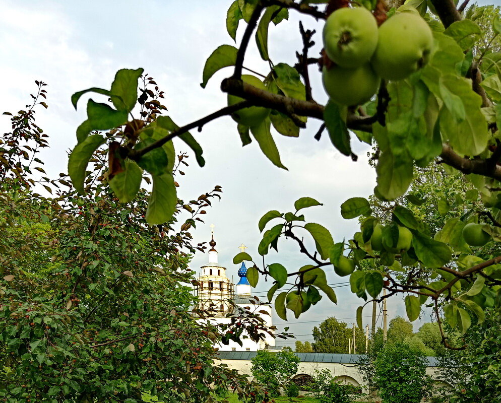 Яблоки и белый храм - Александр Чеботарь