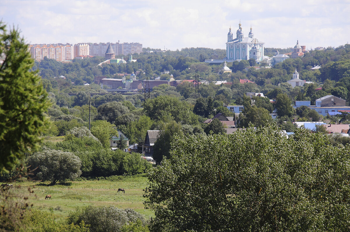 вид на Смоленск и цыганский луг - Тарас Золотько