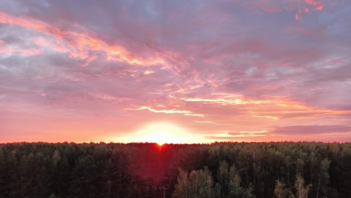 солнце над лесом - Владимир 