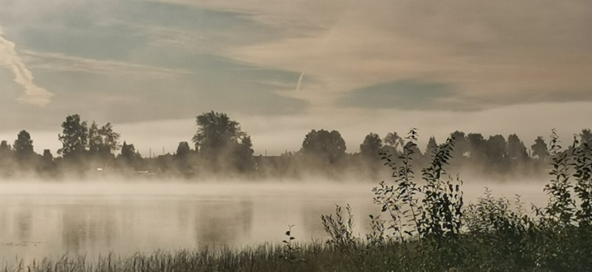 Туман над прудом - Дмитрий 