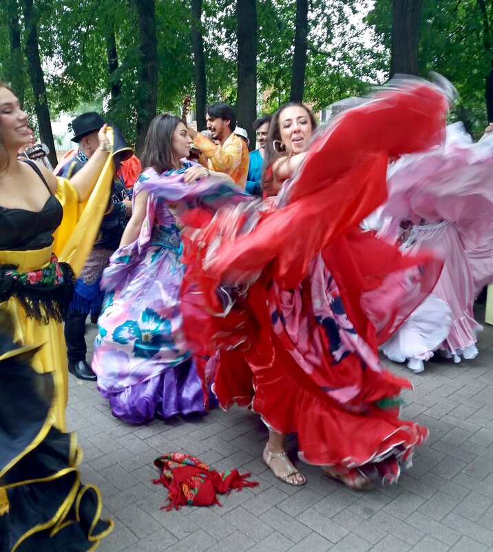 Цыганский танец - Galina Solovova