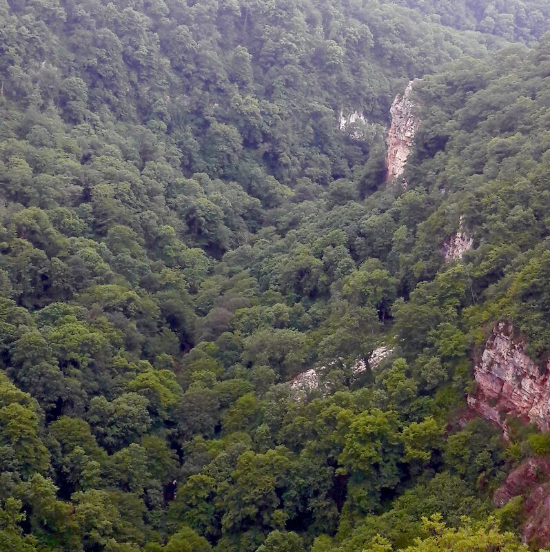 В горах - Вера Щукина