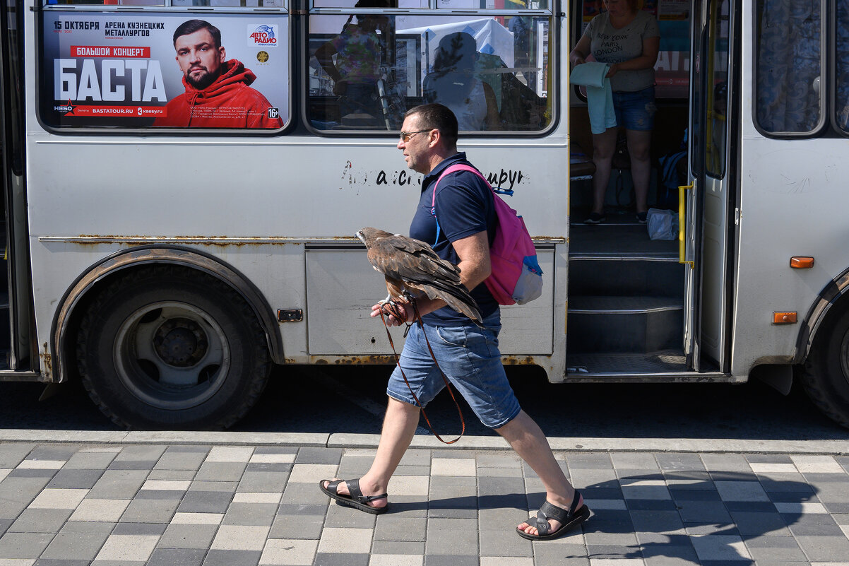 *** - Валерий Михмель 