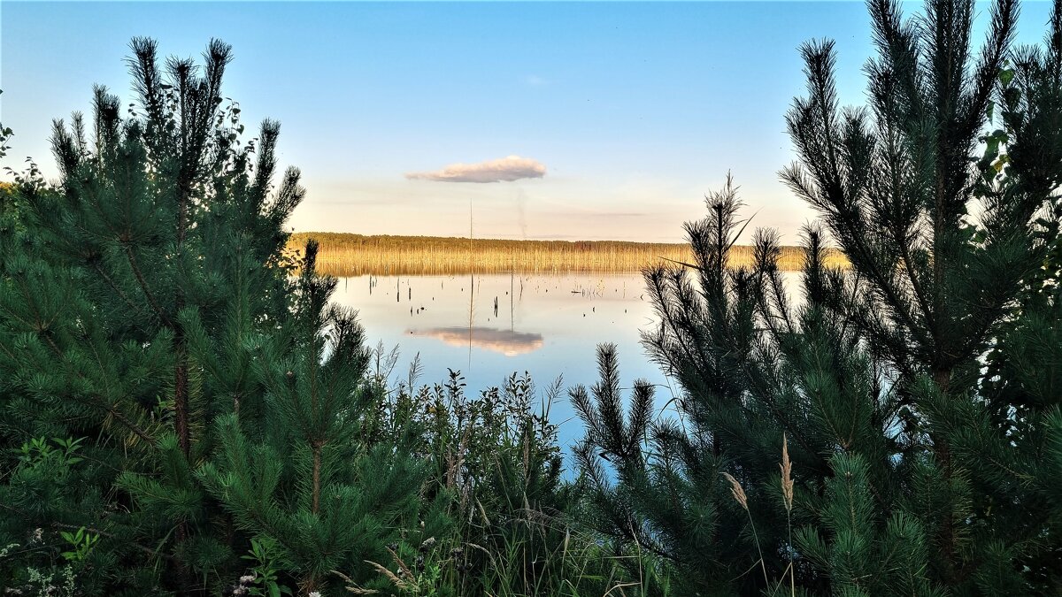 Облако в озере - swetalana Timofeeva