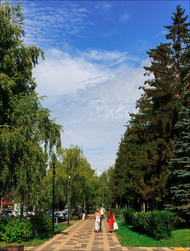 Улица Мичурина - Александр Тарноградский