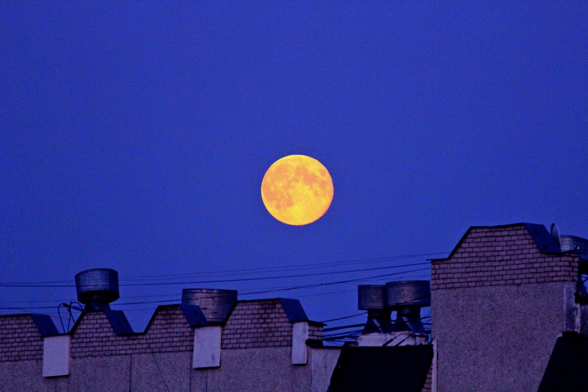 Луна над крышей. - Борис Митрохин