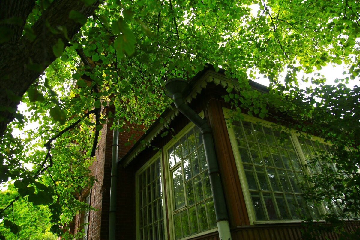Старая дача в саду - Танзиля Завьялова