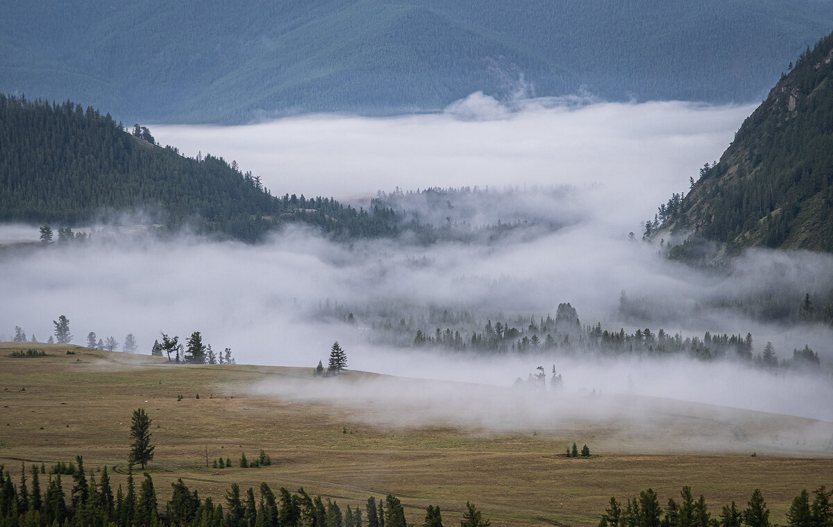 Утренний туман в долине реки Аргут 2 - Galina 